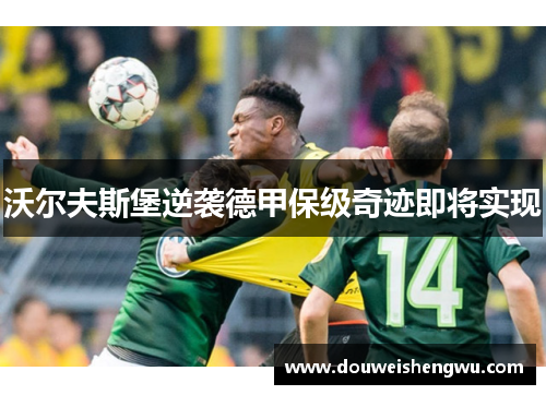 沃尔夫斯堡逆袭德甲保级奇迹即将实现
