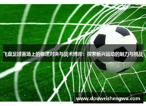 飞盘足球赛场上的极速对决与战术博弈：探索新兴运动的魅力与挑战