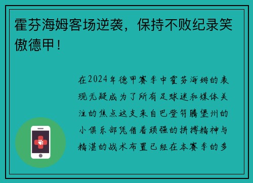 霍芬海姆客场逆袭，保持不败纪录笑傲德甲！